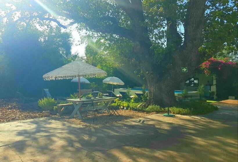 بنسيون Pilots Only Guesthouse