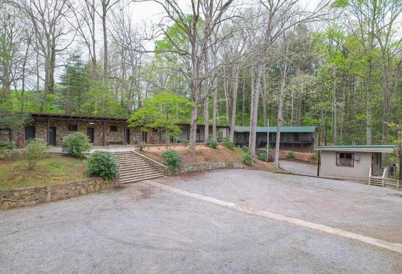 The Furry Suite 7 & 8