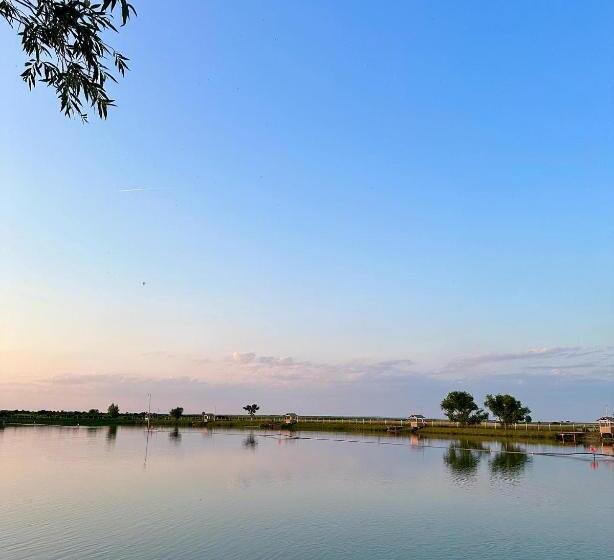 تختخواب و صبحانه Golden Carp Lake