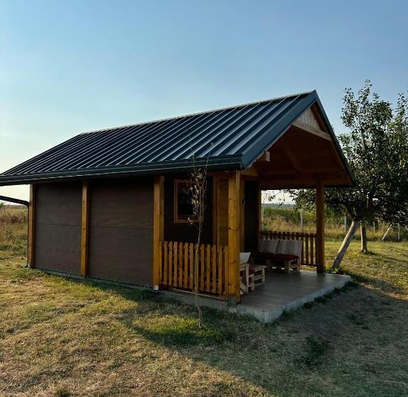 تختخواب و صبحانه Golden Carp Lake