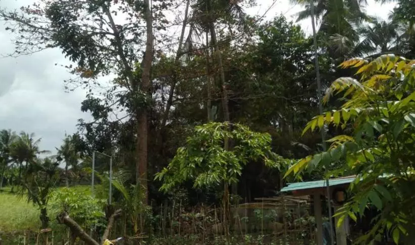 ペンション Cahyachaya House