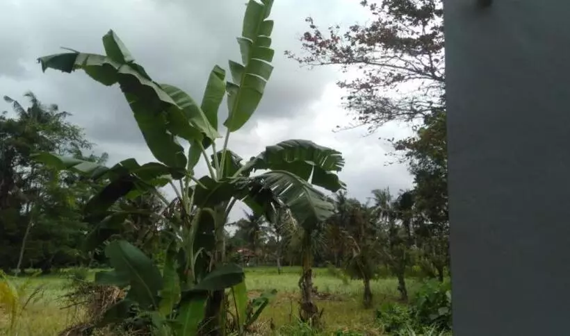 ペンション Cahyachaya House