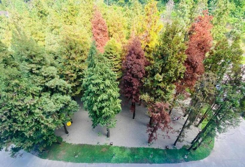 Bamboo Beach Tsikhisdziri