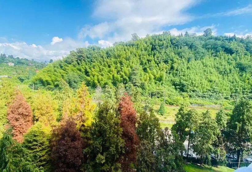 Bamboo Beach Tsikhisdziri