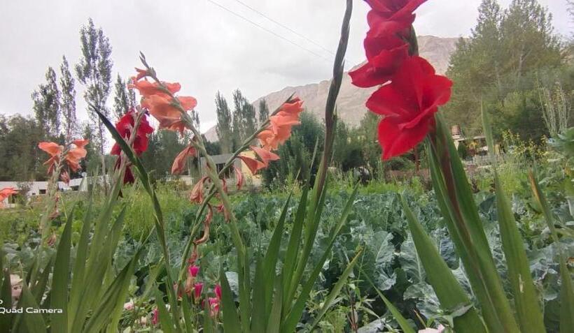 Nocleg ze śniadaniem Royal Mount Guest House Ladakh By Lexstays