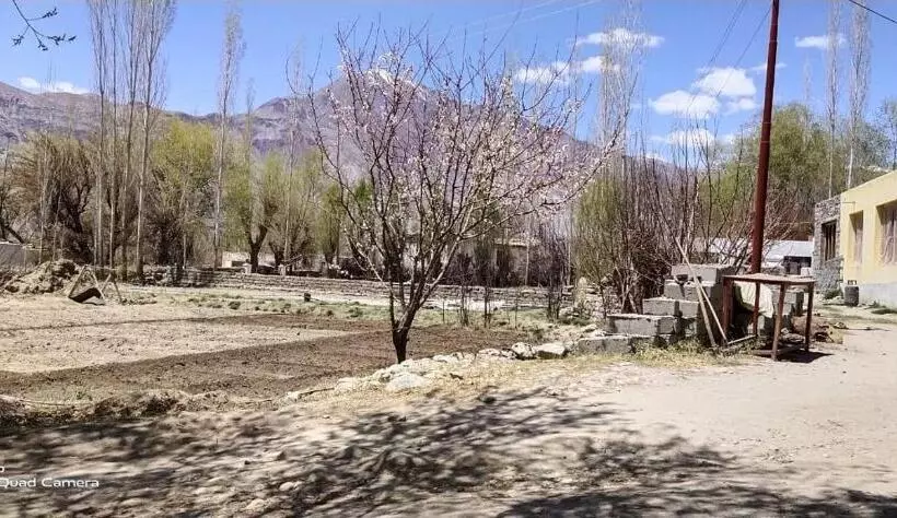 ベッドアンドブレックファースト Royal Mount Guest House Ladakh By Lexstays