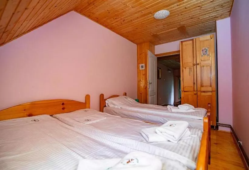 تختخواب و صبحانه U Drvo Zlatibor Vodice
