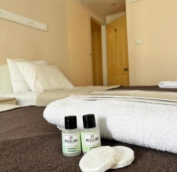 ホテル Büyükşehzade