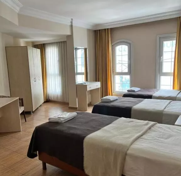 Hôtel Büyükşehzade - İstanbul
