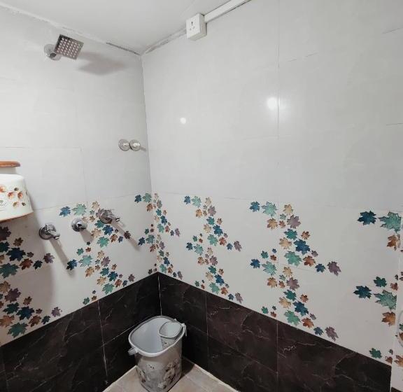 پانسیون Krishnaalay Guest House