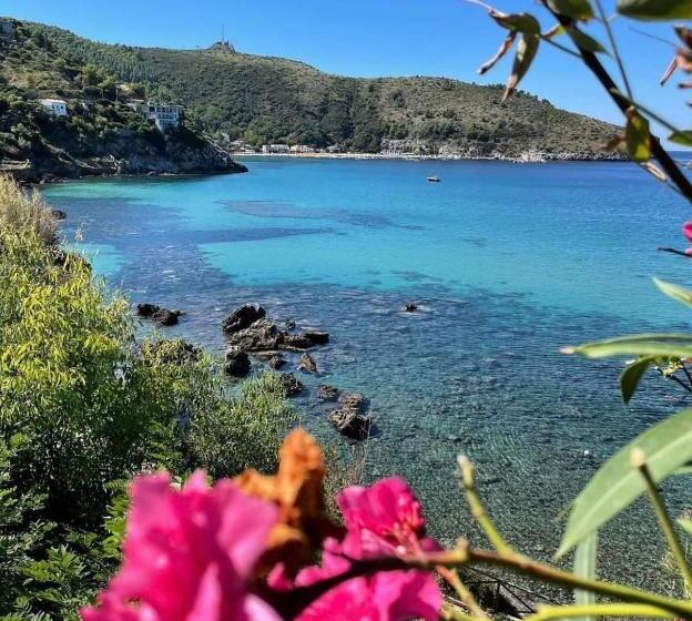 مبيت وإفطار Flamengo Rooms