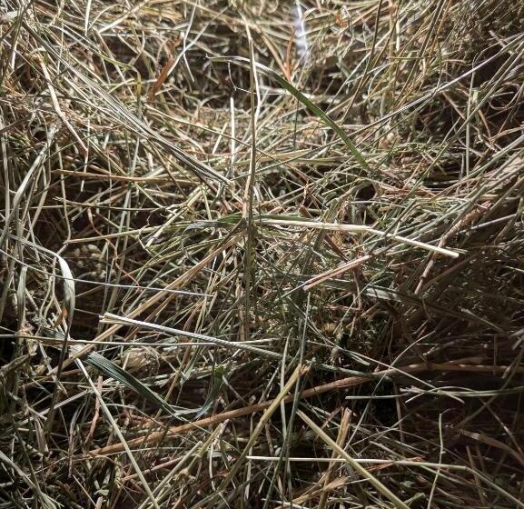 ベッドアンドブレックファースト O Mama Family Time   Am Eggerhof