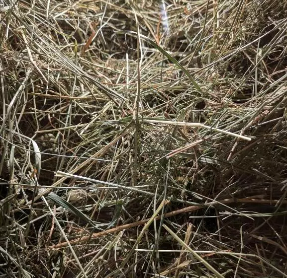 Aamiaismajoitus (B&B) O Mama Family Time   Am Eggerhof