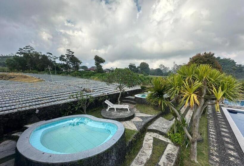 酒店 Arlinas Guest House