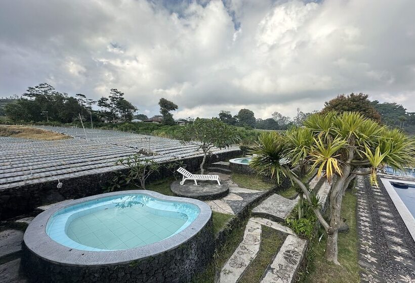 酒店 Arlinas Guest House