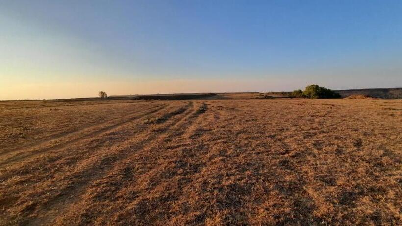 Hôtel Wandr Tabletop