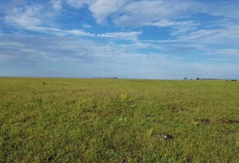 Hôtel Wandr Tabletop