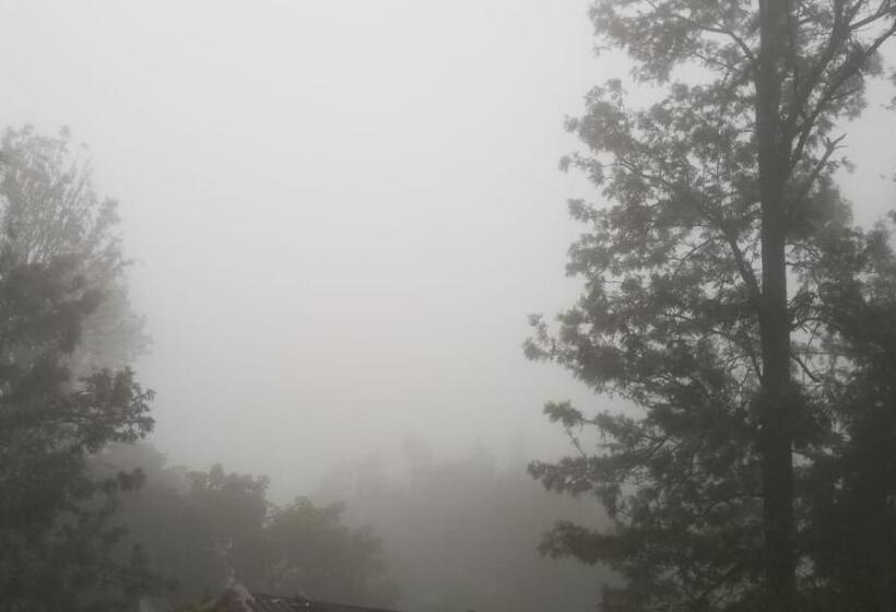 Hôtel Wandr Tabletop