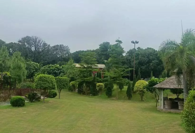 The Dream Forest Resort