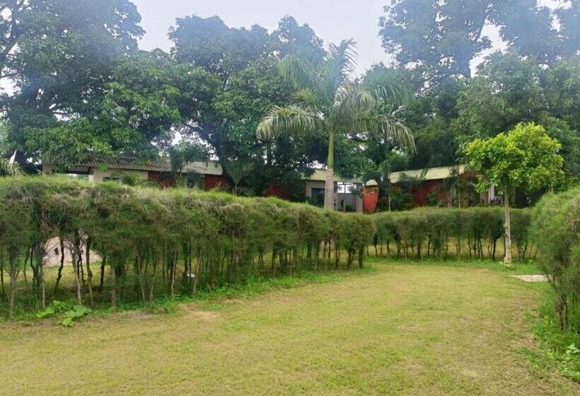 The Dream Forest Resort