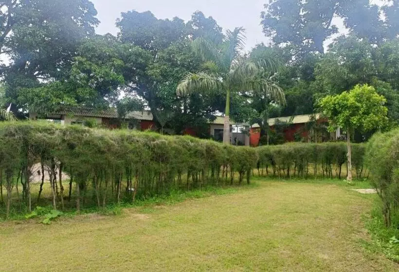 The Dream Forest Resort