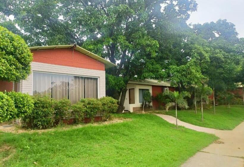 The Dream Forest Resort