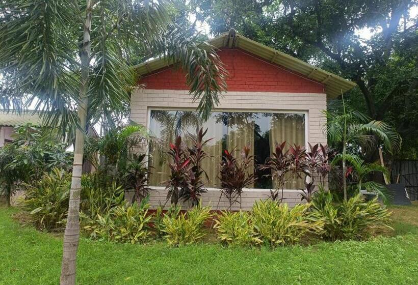 The Dream Forest Resort