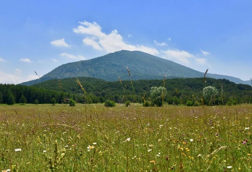 ホテル La Bastide Du Logis Du Pin