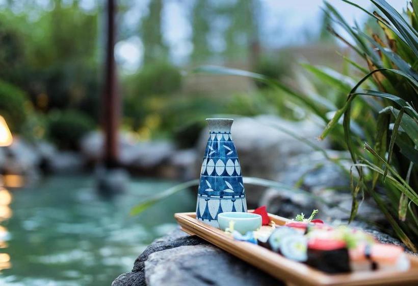 Hotel Transcendence Hot Spring Resort