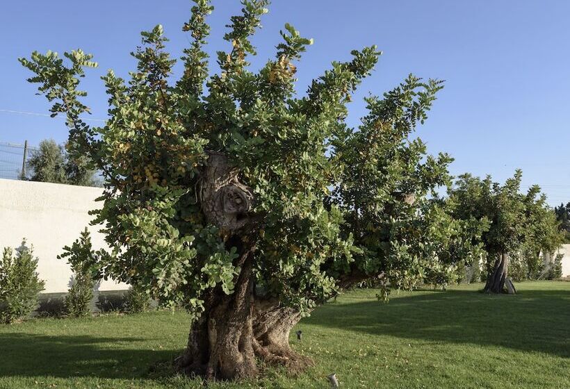 בית מלון כפרי Southeast