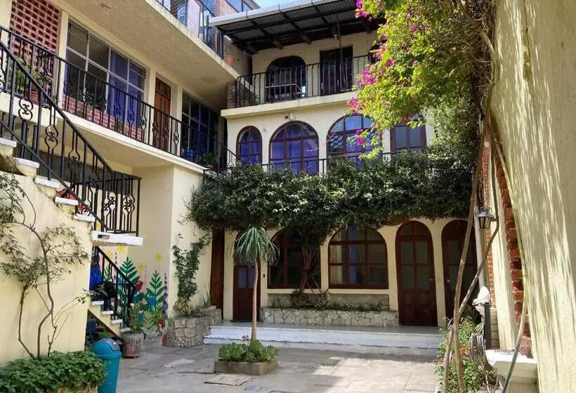 Kasa Kiwi Hostel & Travel Agency