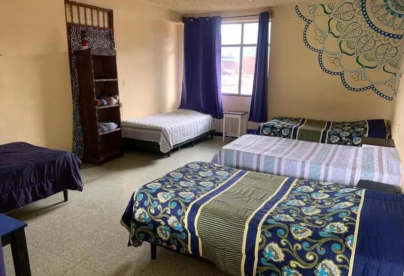 Kasa Kiwi Hostel & Travel Agency