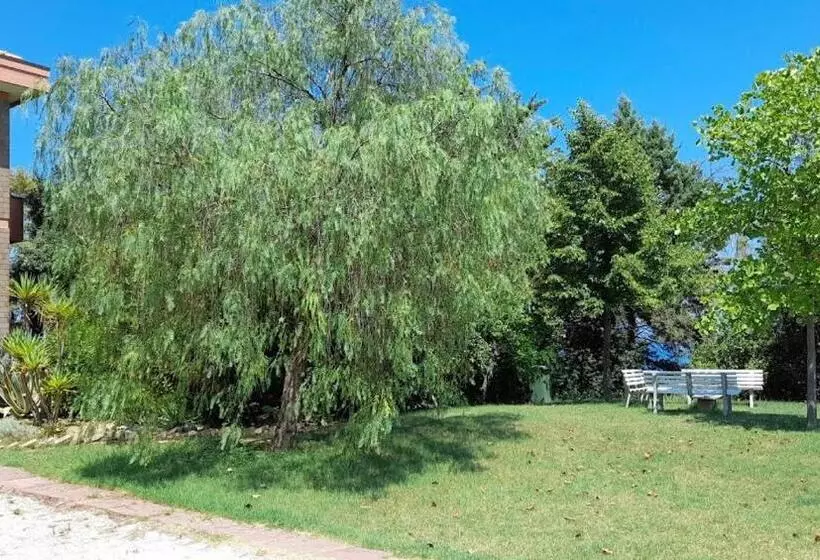 B&b Acqua E Sale