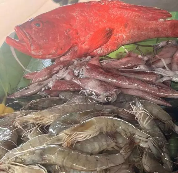 Aamiaismajoitus (B&B) Sooriya Villa