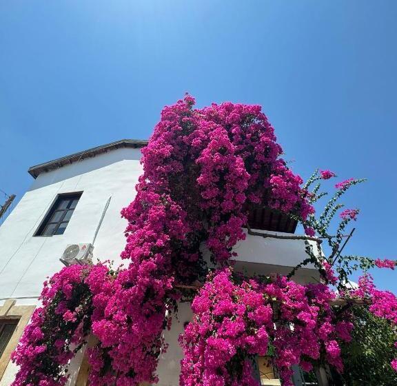 پانسیون Burcu Guest Home