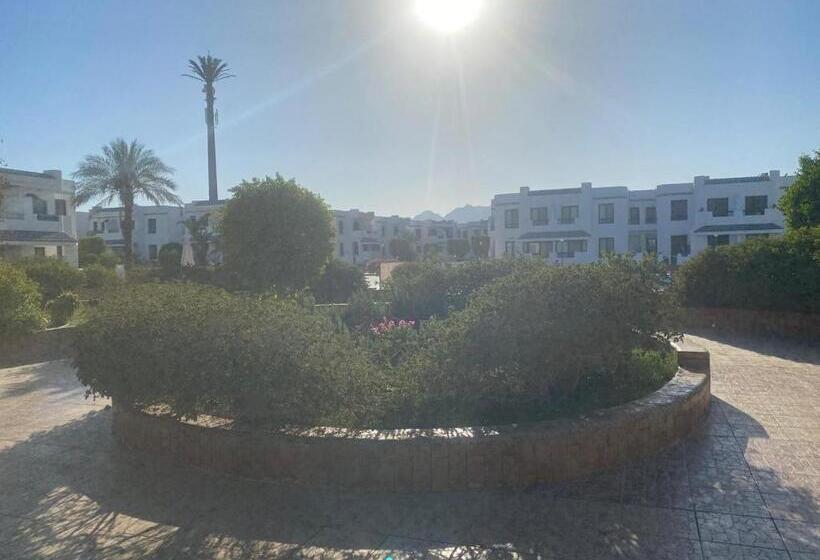 Sharm El Sheikh Naama Bay Sun Shine Resort