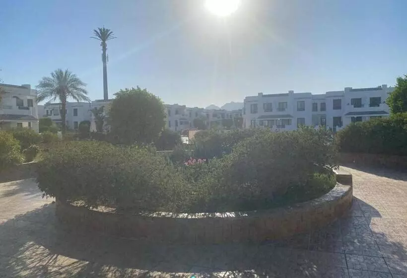 Sharm El Sheikh Naama Bay Sun Shine Resort