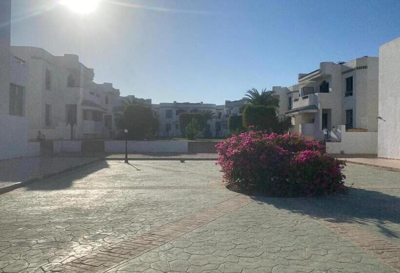 Sharm El Sheikh Naama Bay Sun Shine Resort