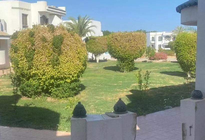 Sharm El Sheikh Naama Bay Sun Shine Resort