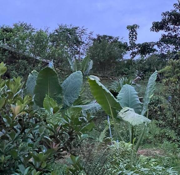 استراحتگاه Sim Farmstay Hà Giang