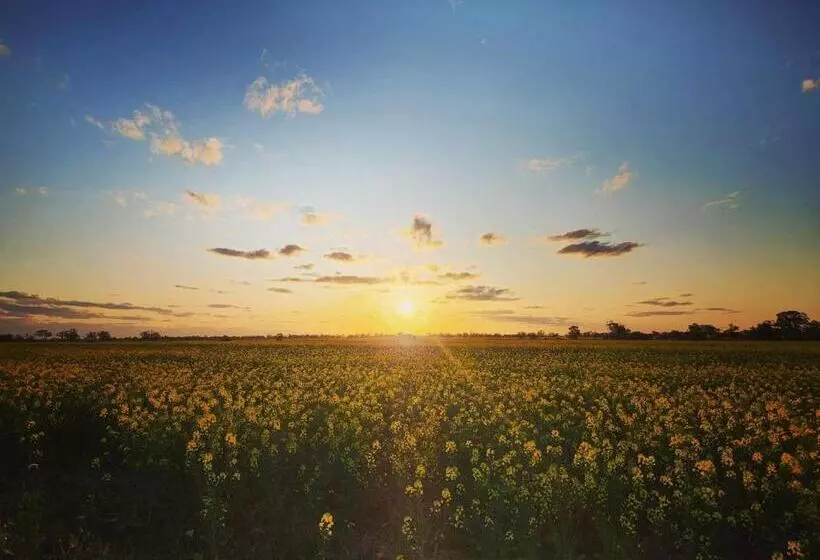 The Court House Hotel Narromine