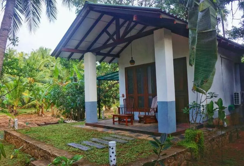 تختخواب و صبحانه Danu Resort