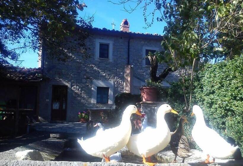 호텔 Agriturismo Podere Asche