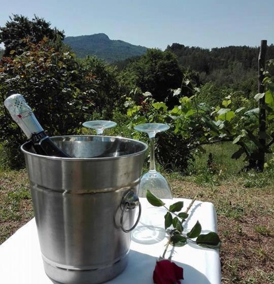 호텔 Agriturismo Podere Asche