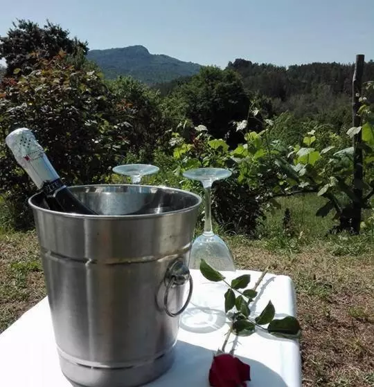 ホテル Agriturismo Podere Asche