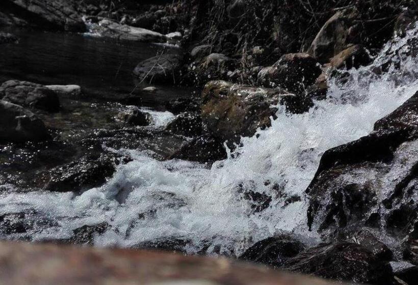 호텔 Agriturismo Podere Asche