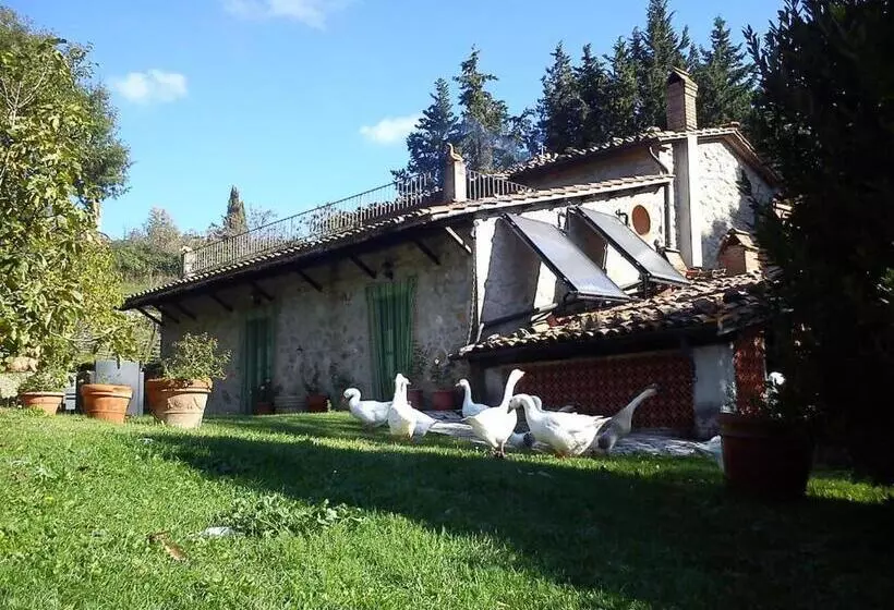 ホテル Agriturismo Podere Asche