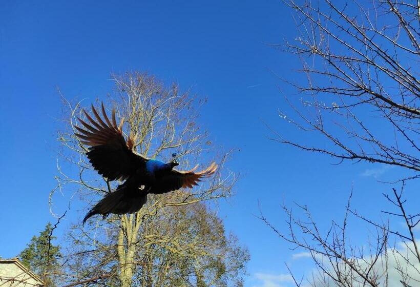 호텔 Agriturismo Podere Asche