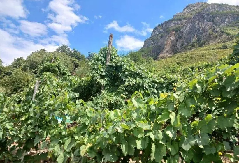 ペンション Bujtina Dalmacia