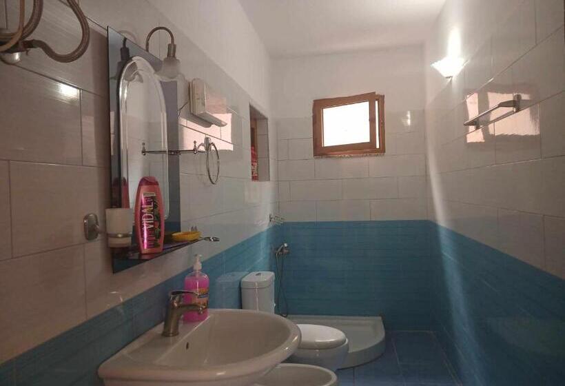 Majatalo Bujtina Dalmacia